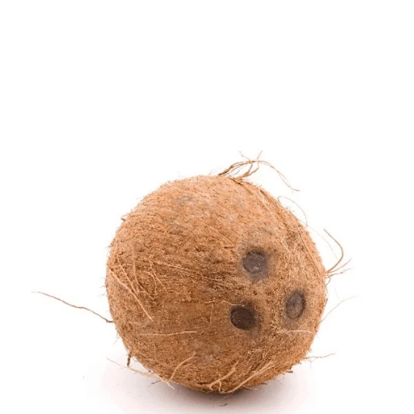 Coconut