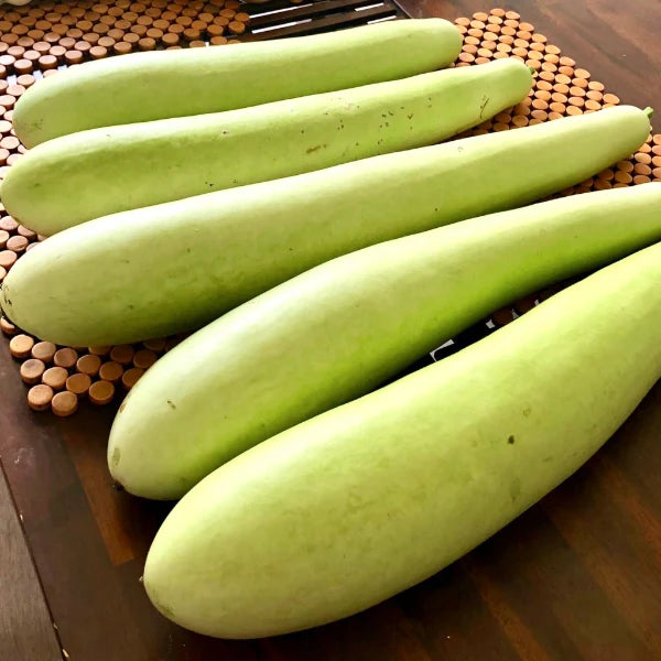 قرع طويل، عبوة 2 كجم (موسمي)